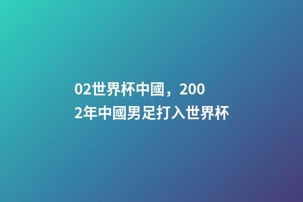 02世界杯中國，2002年中國男足打入世界杯-第1張-觀點-玄機派