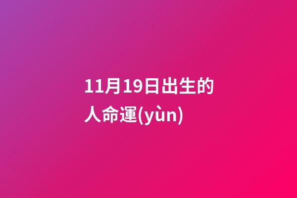 11月19日出生的人命運(yùn)(關(guān)于養(yǎng)貓的知識點(diǎn))-第1張-觀點(diǎn)-玄機(jī)派