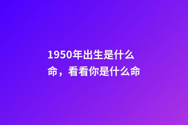 1950年出生是什么命，看看你是什么命-第1張-觀點-玄機派