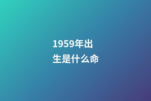 1959年出生是什么命