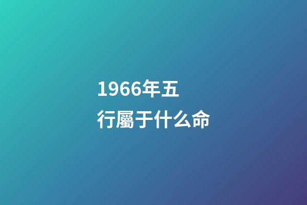 1966年五行屬于什么命(生肖馬：雞年春風得意，馬到成功)-第1張-觀點-玄機派