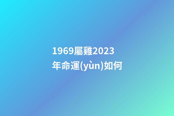 1969屬雞2023年命運(yùn)如何(1969年出生的男性要延遲退休嗎？)-第1張-觀點(diǎn)-玄機(jī)派