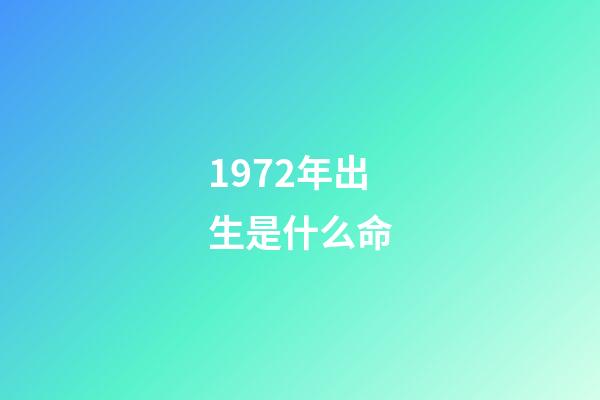 1972年出生是什么命
