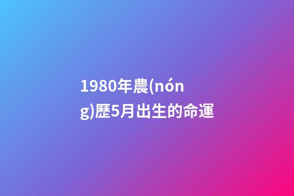 1980年農(nóng)歷5月出生的命運(從農(nóng)歷出生月份看你一生會是富翁還是“負翁”？)-第1張-觀點-玄機派