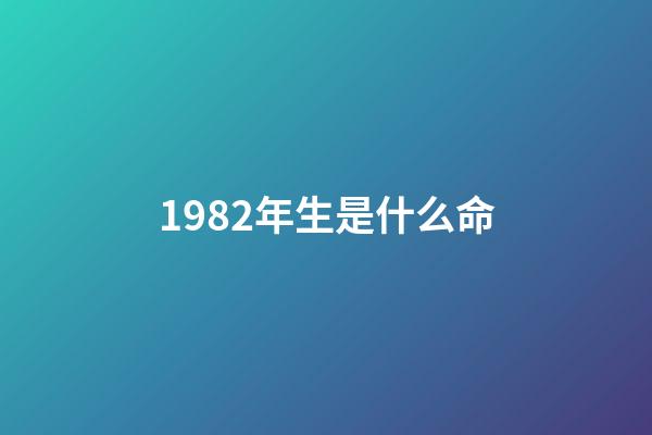 1982年生是什么命