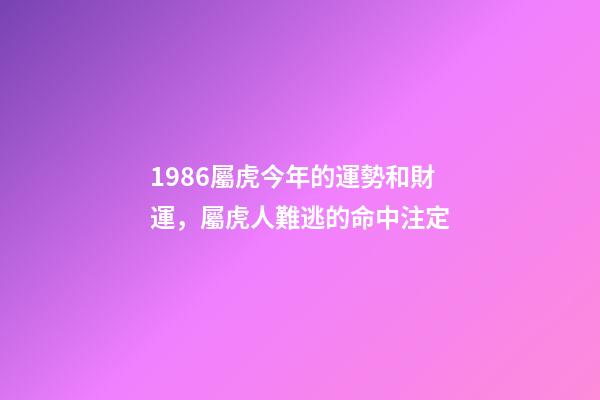 1986屬虎今年的運勢和財運，屬虎人難逃的命中注定-第1張-觀點-玄機派