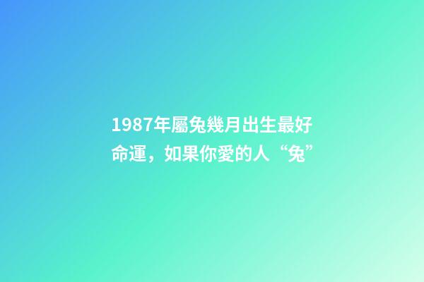 1987年屬兔幾月出生最好命運，如果你愛的人“兔”-第1張-觀點-玄機派