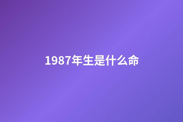 1987年生是什么命