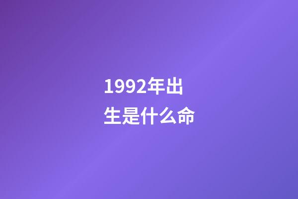 1992年出生是什么命