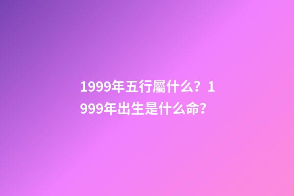 1999年五行屬什么？1999年出生是什么命？