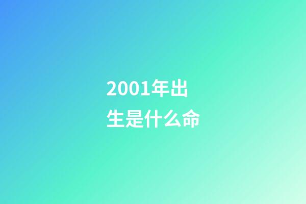 2001年出生是什么命