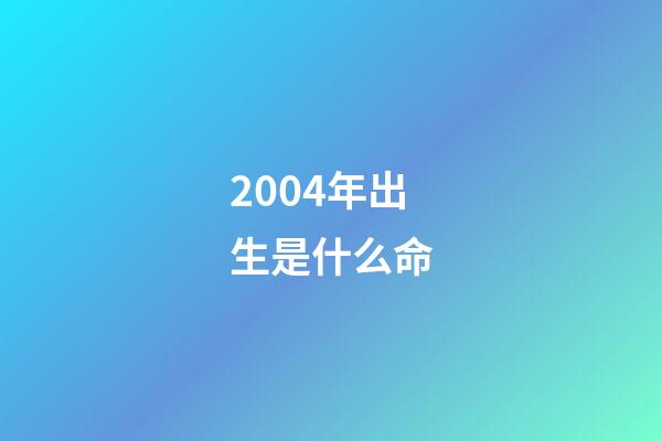 2004年出生是什么命