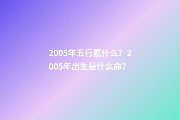 2005年五行屬什么？2005年出生是什么命？