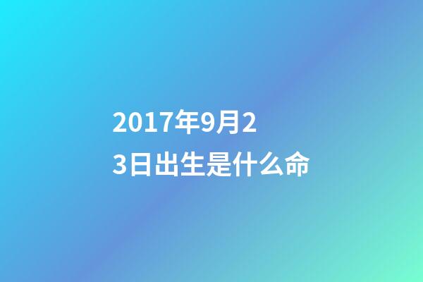 2017年9月23日出生是什么命(5大熱門國產長頭車對比，最豪華最高配的果然是它)-第1張-觀點-玄機派