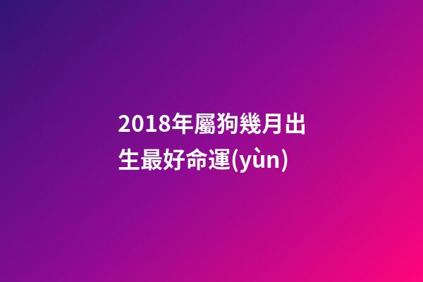 2018年屬狗幾月出生最好命運(yùn)(2018年出生的狗寶寶這幾個月命最好了，大家快來看看有你家的嗎？)-第1張-觀點-玄機(jī)派