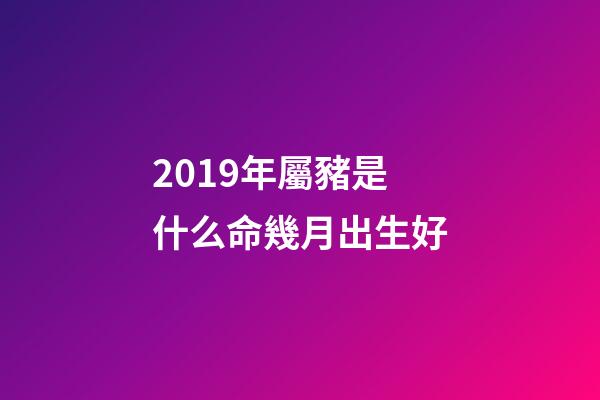 2019年屬豬是什么命幾月出生好(2019年5月份哪一天出生最好)-第1張-觀點(diǎn)-玄機(jī)派