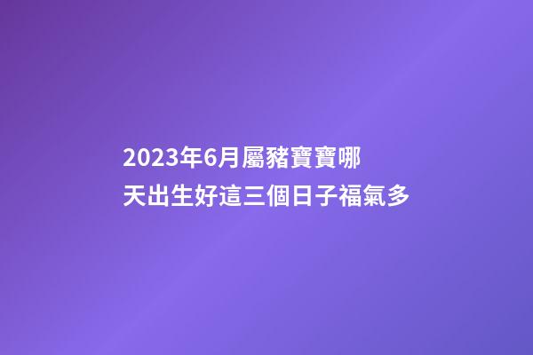 2023年6月屬豬寶寶哪天出生好?這三個日子福氣多