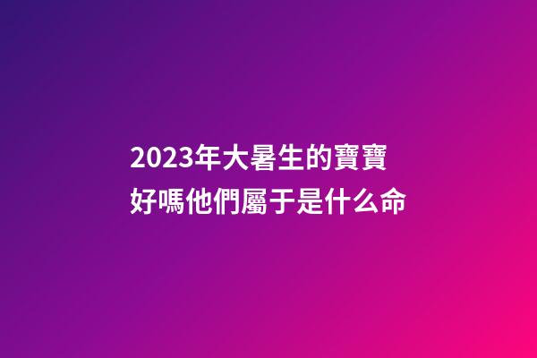 2023年大暑生的寶寶好嗎?他們屬于是什么命?