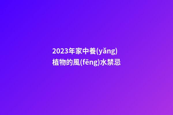 2023年家中養(yǎng)植物的風(fēng)水禁忌