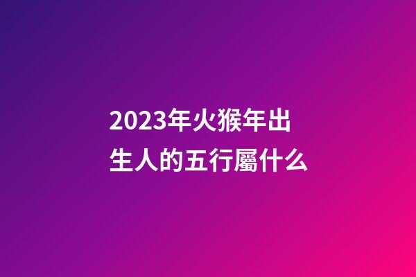 2023年火猴年出生人的五行屬什么