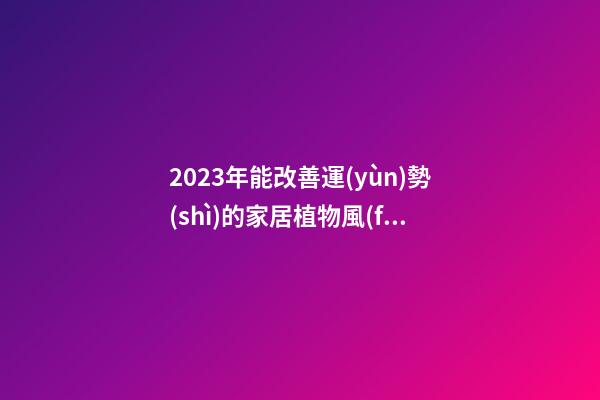 2023年能改善運(yùn)勢(shì)的家居植物風(fēng)水