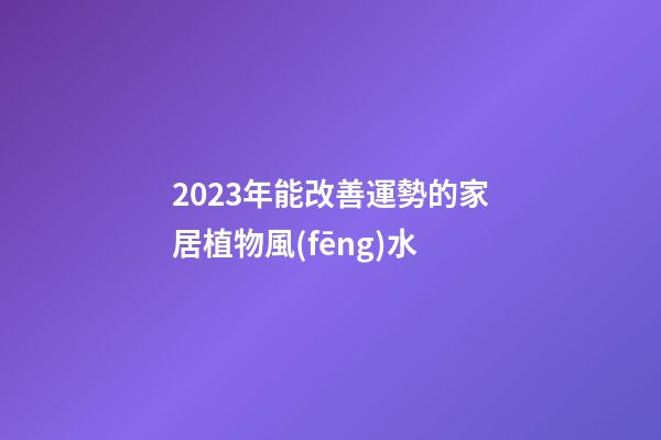 2023年能改善運勢的家居植物風(fēng)水