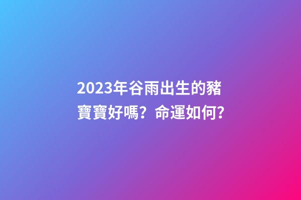 2023年谷雨出生的豬寶寶好嗎？命運如何？