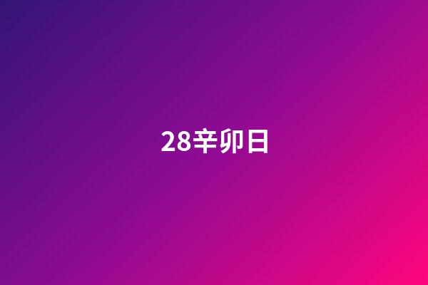 28.辛卯日
