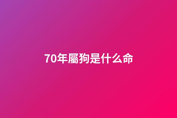 70年屬狗是什么命(70年屬狗女一生命運(yùn)如何？)
