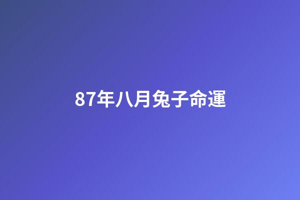 87年八月兔子命運(屬兔的做什么生意賺錢 87年兔適合做什么工作)-第1張-觀點-玄機派