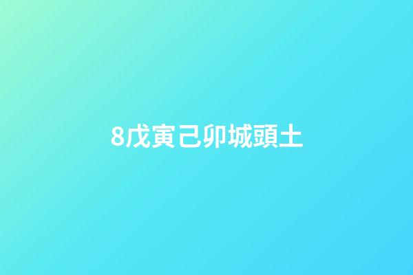8.戊寅己卯城頭土