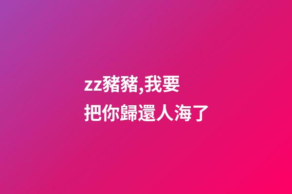 zz豬豬,我要把你歸還人海了-第1張-觀點-玄機派