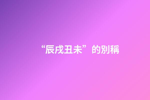 “辰戌丑未”的別稱