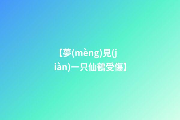 【夢(mèng)見(jiàn)一只仙鶴受傷】