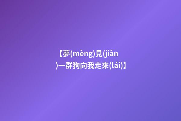 【夢(mèng)見(jiàn)一群狗向我走來(lái)】