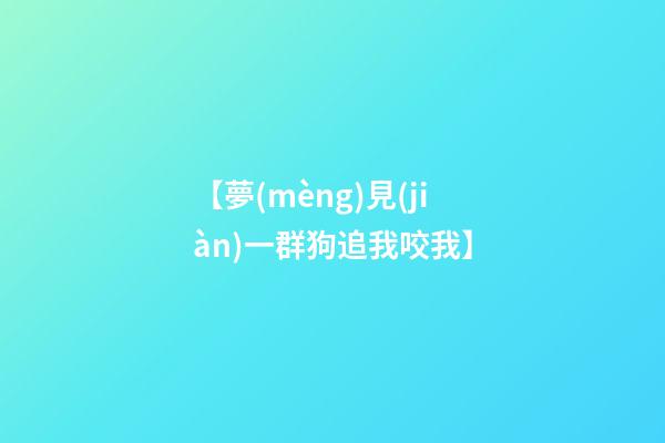 【夢(mèng)見(jiàn)一群狗追我咬我】