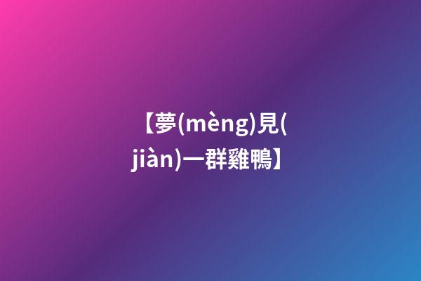 【夢(mèng)見(jiàn)一群雞鴨】