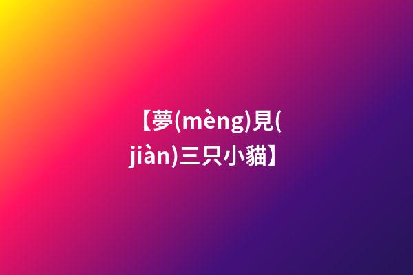 【夢(mèng)見(jiàn)三只小貓】