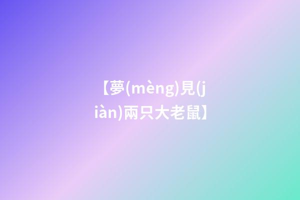 【夢(mèng)見(jiàn)兩只大老鼠】