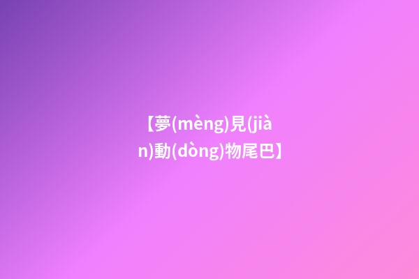【夢(mèng)見(jiàn)動(dòng)物尾巴】