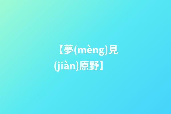 【夢(mèng)見(jiàn)原野】