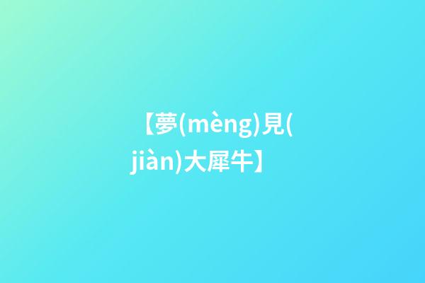 【夢(mèng)見(jiàn)大犀牛】