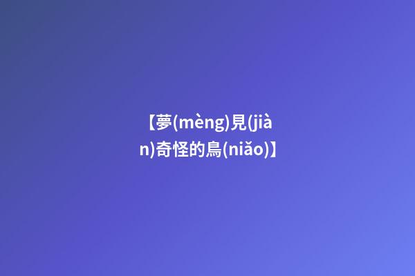 【夢(mèng)見(jiàn)奇怪的鳥(niǎo)】