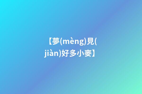 【夢(mèng)見(jiàn)好多小麥】