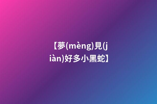 【夢(mèng)見(jiàn)好多小黑蛇】