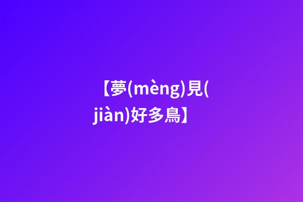 【夢(mèng)見(jiàn)好多鳥】