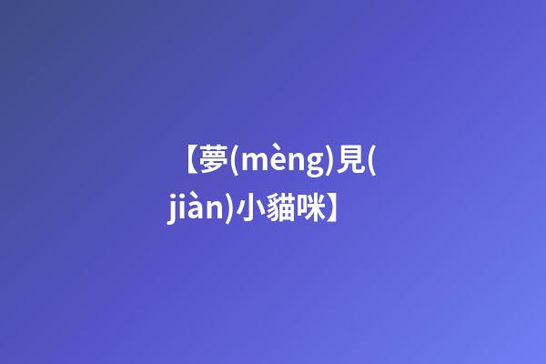 【夢(mèng)見(jiàn)小貓咪】