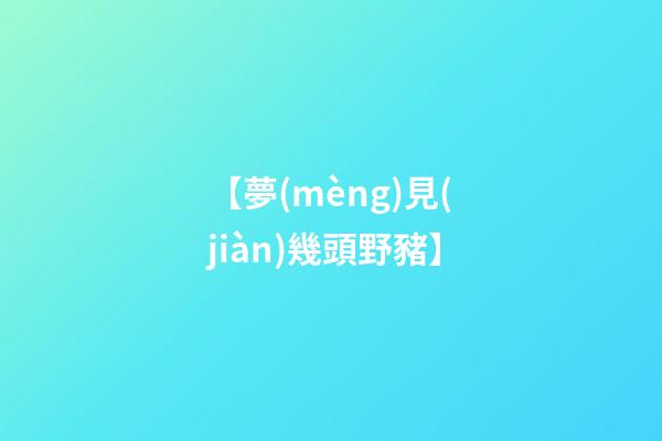 【夢(mèng)見(jiàn)幾頭野豬】