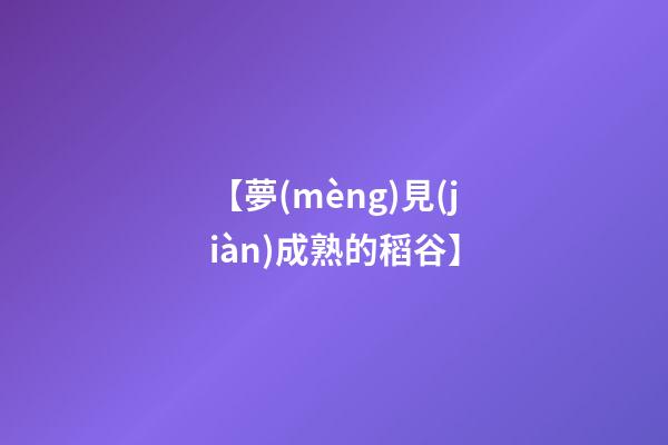 【夢(mèng)見(jiàn)成熟的稻谷】