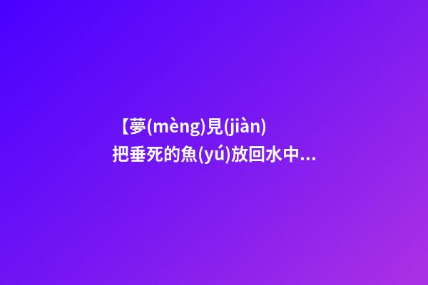 【夢(mèng)見(jiàn)把垂死的魚(yú)放回水中】